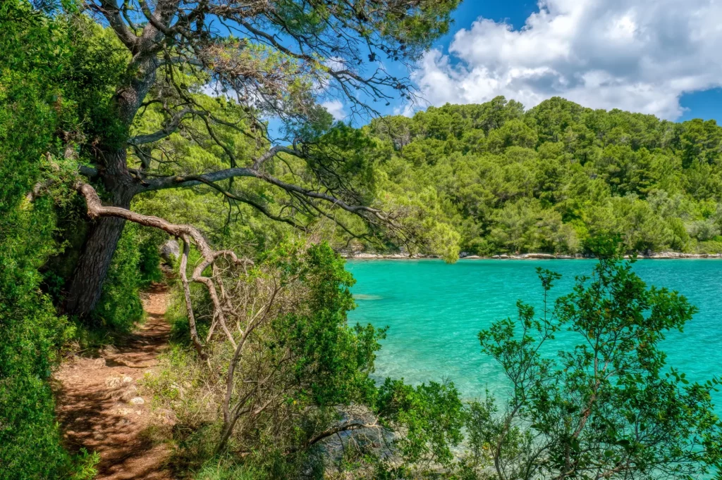 A scenic recreational walking path along the wooded shoreline of Veliko Jezero Lake in Mljet National Park, on the Dalmatian Coast of Croatia.