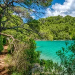 A scenic recreational walking path along the wooded shoreline of Veliko Jezero Lake in Mljet National Park, on the Dalmatian Coast of Croatia.