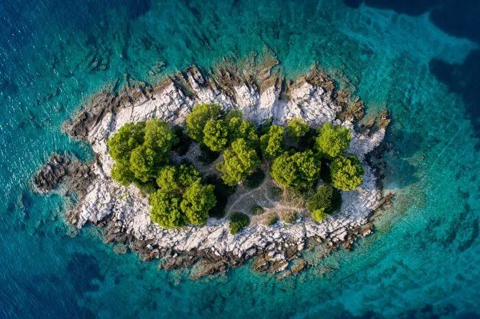 Island x